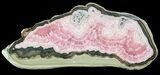 Rhodochrosite Stalactite Slice With Pyrite - Argentina #63154-1